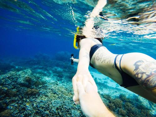 Tetamu yang menginap di Koi Gili Guest House