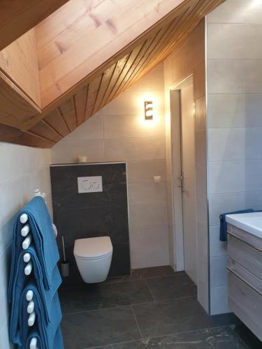 a bathroom with a toilet and a sink at Landhaus Wegscheider in Tulfes