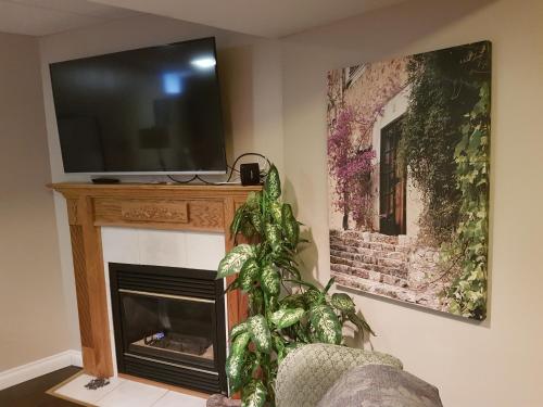 a living room with a tv and a fireplace at Evening Shade in Fergus