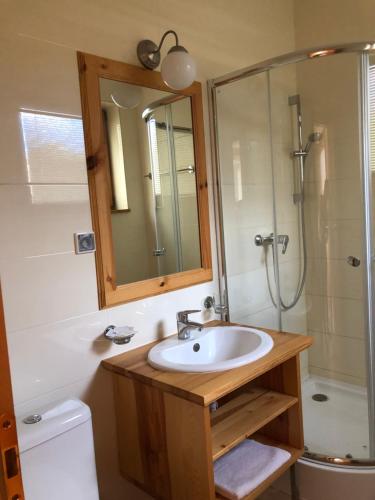 a bathroom with a sink and a shower and a toilet at BIO Farma & Penzión Zlatý Hýľ in Nováčany