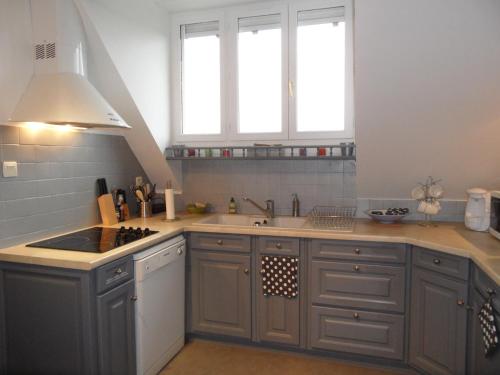- une cuisine avec des placards gris, un évier et 2 fenêtres dans l'établissement Le Clos Audy près de Chambord, à Huisseau-sur-Cosson