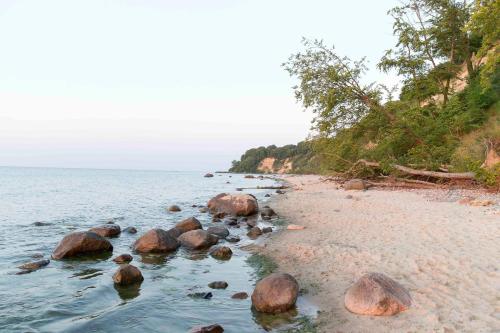 a beach with rocks in the water and trees at 29 Strandstraße, Wohnung 2 in Baabe