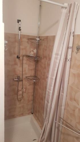 une salle de bain avec une douche avec un rideau de douche dans l'établissement Maison, à Damblain