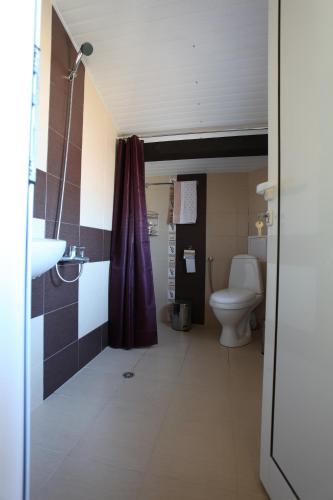 a bathroom with a toilet and a sink at Ashkova House in Govedartsi