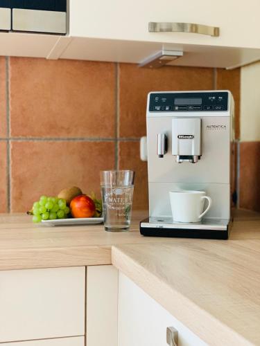 a coffee maker on a counter with a plate of fruit at Ferienwohnung Schultheiß in Remptendorf