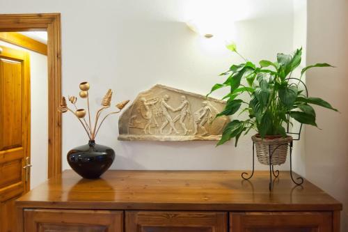 a wooden table with two plants on top of it at Pan Hotel in Delfoi