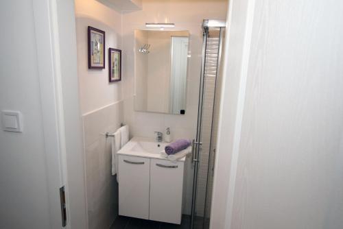 Koupelna v ubytování Doleco Apartment