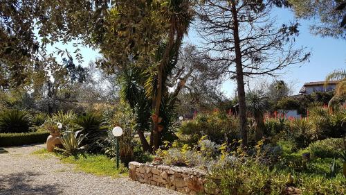 a garden with a stone wall and plants and trees at Le Radici Casa Vacanze in Copertino