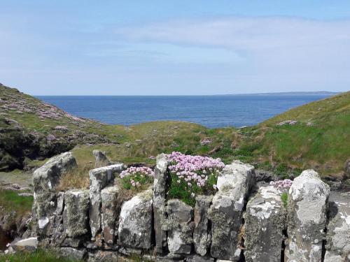 Fotografia z galérie ubytovania Cois Na hAbhann v destinácii Doolin