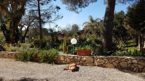 a dog laying on the ground next to a stone wall at Le Radici Casa Vacanze in Copertino