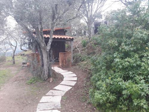 a walkway leading to a house with a tree at Cabana da Oliveira in Marco de Canaveses