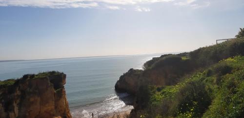 Paesaggio naturale nelle vicinanze dell'affittacamere