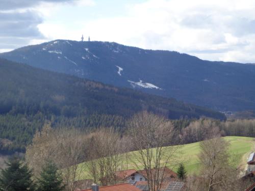a mountain with a cross on top of it at Pension Schamberger in Neukirchen beim Heiligen Blut