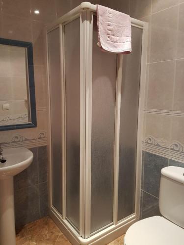 a shower in a bathroom with a toilet and a sink at Camping-Hotel Los Molinos in Ruidera