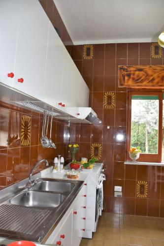 a kitchen with a sink and a counter top at casa dei limoni in Massa Lubrense