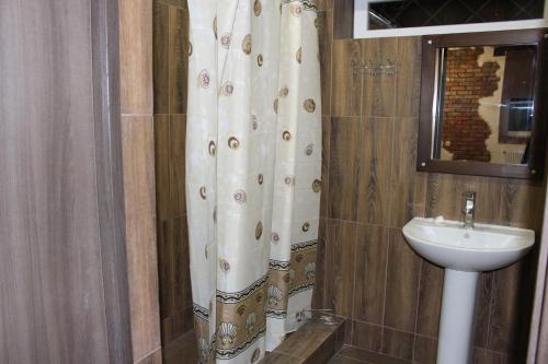 a bathroom with a sink and a shower curtain at Biker's Pub in Oleksandriya