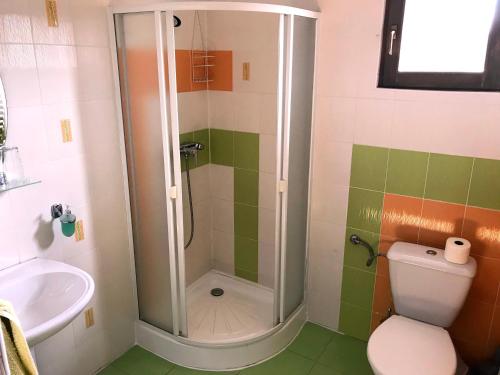 La salle de bains est pourvue d'une douche, de toilettes et d'un lavabo. dans l'établissement Pensiunea Pepe Panzió, à Sub Cetate
