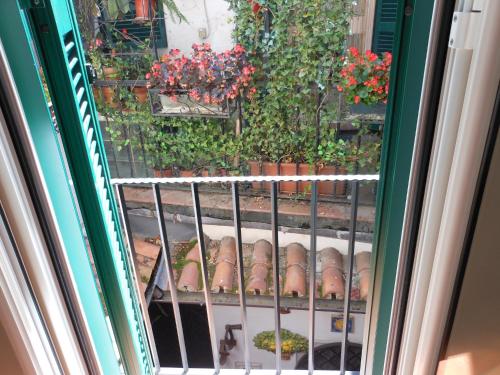 Signor Suite Colosseo