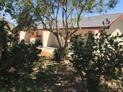 Κήπος έξω από το Lauradale Accommodation