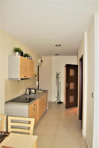 a kitchen with a sink and a counter at Apartamenty Gabrysia 8 in Międzywodzie