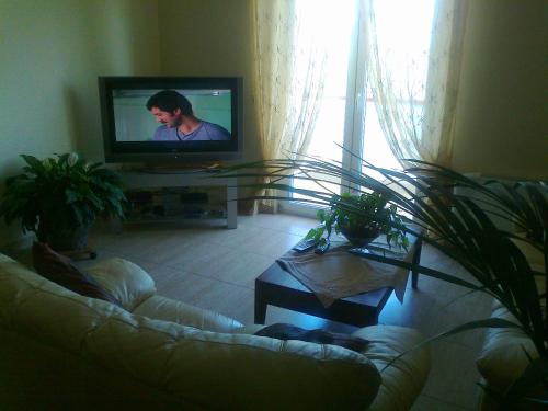 sala de estar con sofá y TV en Life Hotel, en Ariano Irpino