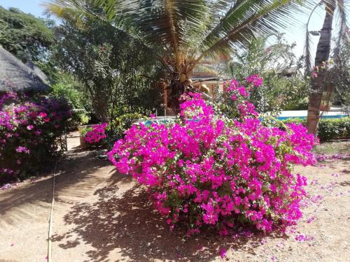 um ramo de flores cor-de-rosa em frente a uma piscina em Villa Maria em Somone