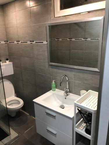 La salle de bains est pourvue d'un lavabo, de toilettes et d'un miroir. dans l'établissement Le Studio de Lucie, à Villeurbanne