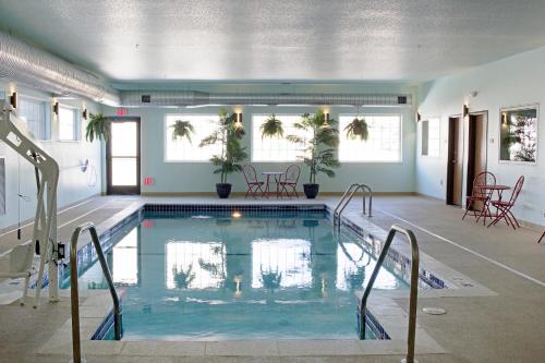 Swimming pool sa o malapit sa Newcastle Lodge & Convention Center