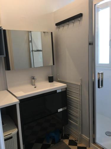 une salle de bain avec un lavabo, un miroir et une douche dans l'établissement la terrasse wimereusienne, à Wimereux
