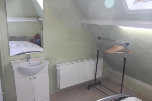 une petite salle de bain avec un lavabo et un miroir dans l'établissement Villa Zonneweelde, au Coq