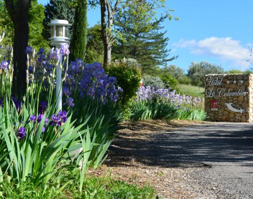 a garden of purple flowers next to a road at Hôtel Le Colombier in Moustiers-Sainte-Marie