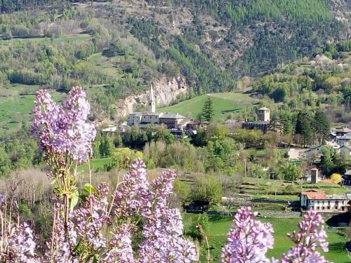 a view of a valley with purple flowers on a hill at Maison d'Antan in Introd