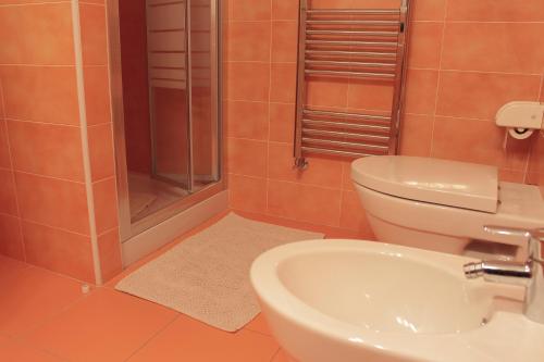 a bathroom with a toilet and a sink and a shower at Maison d'Antan in Introd