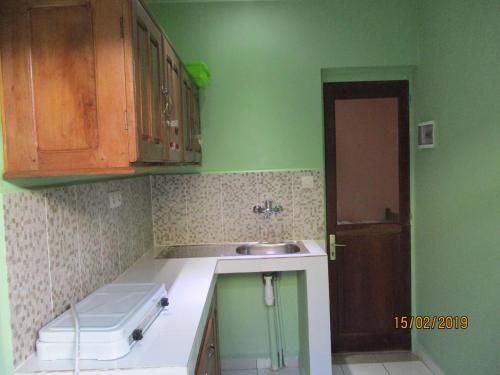 een keuken met groene muren en een wastafel bij Residence Kathyly in Diego Suarez