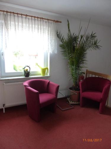 a living room with two chairs and a plant at Hotel/Restaurant Balkan in Sömmerda