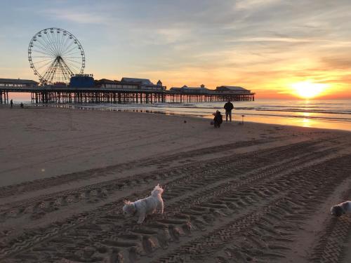 Gallery image of Avenue Guest House in Blackpool