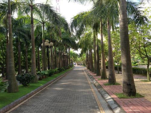 a street lined with palm trees in a park at Camela Hotel & Resort in Hai Phong