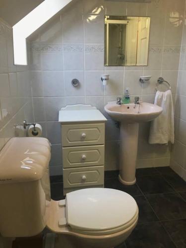 ドニゴールにあるAshdoon Houseのトイレと洗面台のあるバスルーム