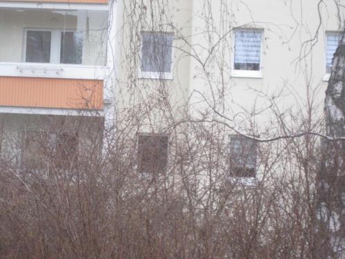 Ferienwohnung mit Aegidienblick في Oschatz: مبنى ابيض نوافذه واشجاره