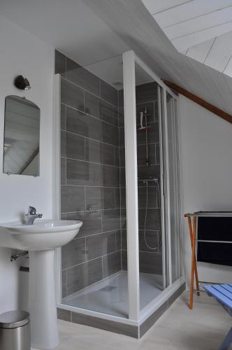 uma casa de banho com um lavatório e uma cabina de duche em vidro. em Domaine de Kernanou em Ploërmel