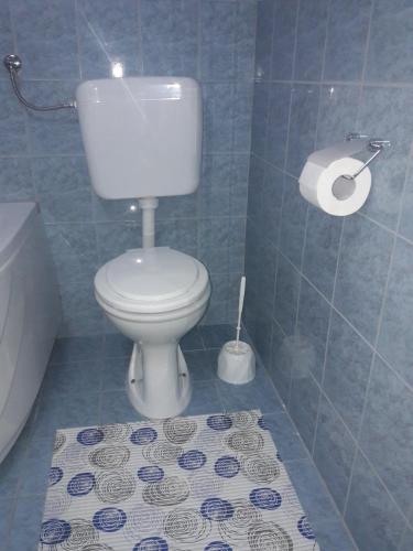 a bathroom with a toilet and a roll of toilet paper at Apartman Stars in Slavonski Brod