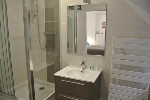 La salle de bains est pourvue d'une douche, d'un lavabo et d'un miroir. dans l'établissement Au Logis De La Rance Bed and Breakfast, à Saint-Jouan-des-Guérets