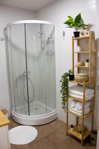 a shower with a glass door in a bathroom at Apartment Take a breath in Vrnjačka Banja