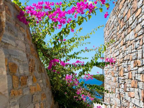 a bunch of pink flowers hanging from a brick wall at Villa Yalita in Melissaki