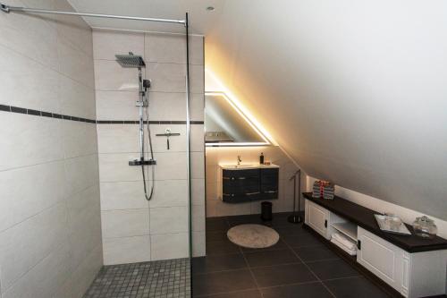 un baño con ducha y lavabo en Ferienhaus Harmonia, en Neuendorf Heide