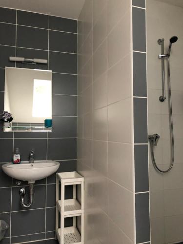 a bathroom with a sink and a shower at Alegria Natur Apartments in Mikulov