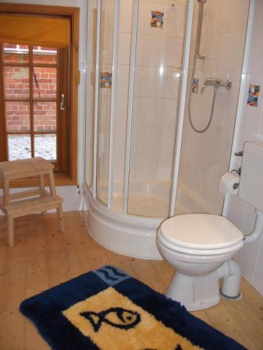 a bathroom with a toilet and a shower and a rug at Ferienhaus Vörn-Diek in Hohnstorf