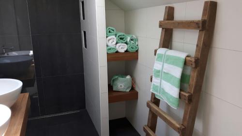 a bathroom with a towel rack next to a shower at Boave ut Wirkes in Klimmen
