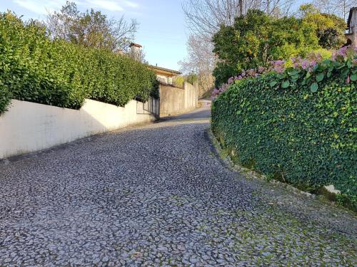 a cobblestone road with bushes and a hedge at Vivenda do Paúl in Geres