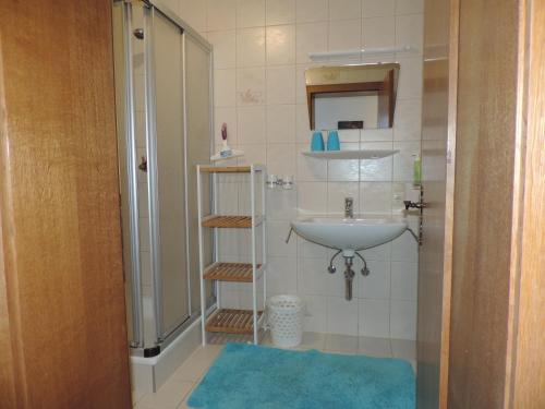 y baño pequeño con lavabo y ducha. en Ferienwohnung Rudigier Elke en Silbertal
